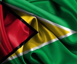 yapboz Guyana Bayrağı